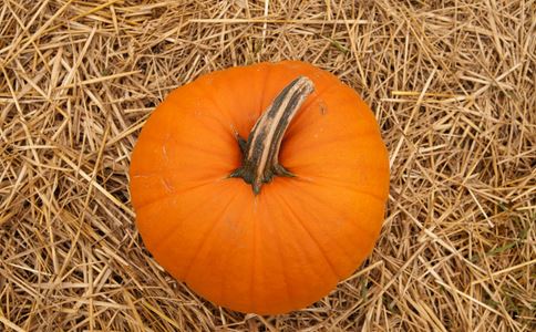 上班族如何养胃 秋季如何养胃 上班族养胃吃什么好