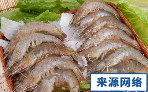 白领如何养生 白领如何补肾 白领补肾吃什么好