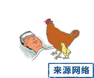 预防禽流感 怎样预防禽流感 如何预防禽流感 香港禽流感