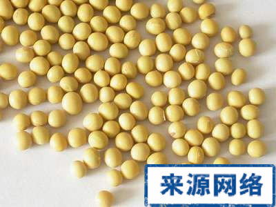 增加皮肤弹性 吃什么可以增加皮肤弹性 增加皮肤弹性的食物 海带