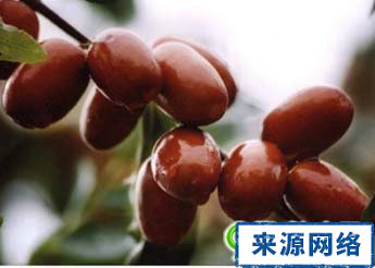 男性保健 性欲 红枣 每天吃枣好吗
