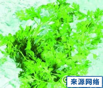 男性脱发吃什么好 男性脱发 男性脱发的原因 男性脱发怎么办