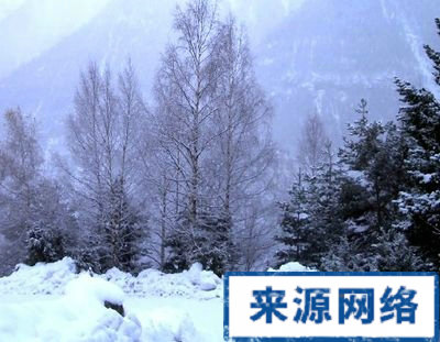 出生 出生月份 生日 得病 最易得的病 生病 性格 性格疾病