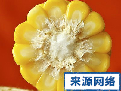 玉米 抗衰老 衰老 玉米营养价值 自由基