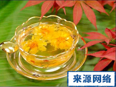 菊花茶 适宜喝 喝菊花茶 菊花