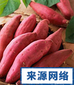 氧化酶 肠胃 腹胀 打嗝