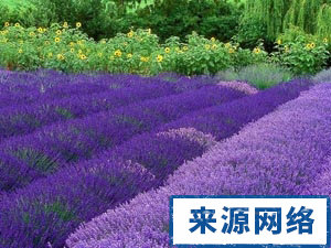 怎么预防癌症 癌症复发怎么办 春季如何预防癌症复发