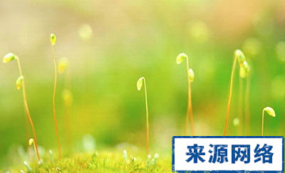 春季养生该注意什么 春季养生该注意什么,春季的养生方法有哪些,春季怎么保健养生