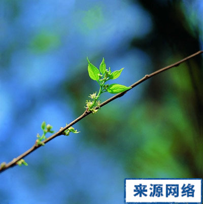 春季要怎么养生，春季养生的口诀是什么，有什么方式可以春季养生