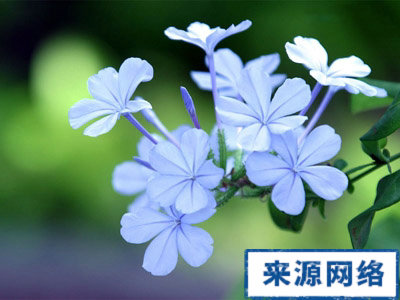 春季容易上火的原因是什么，怎样才能预防上火，春季上火要吃什么降火