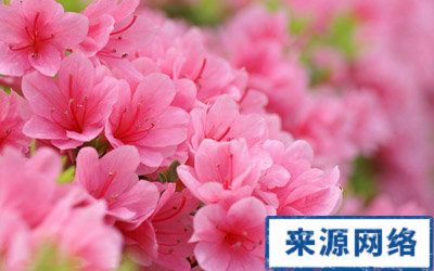 春季美容要注意什么，春季怎样清洁肌肤，怎样才能美容肌肤