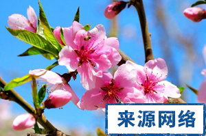 春季保健养生 保健养生小常识 春季如何保健养生