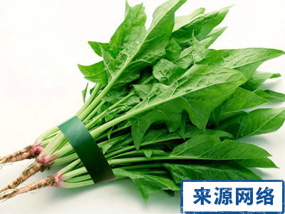 冬季进补 冬季保健 冬季养生