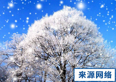 大寒节气 大寒节气习俗 24节气大寒 大寒节气养生