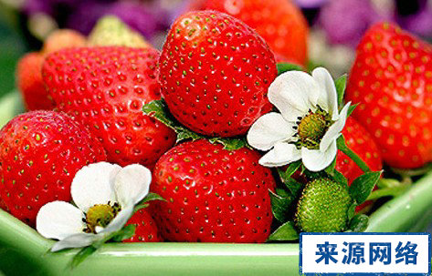 草莓的营养价值 草莓营养价值 吃草莓的禁忌