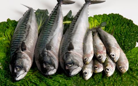 冬季如何养生 冬季进补有什么误区 冬季吃什么提高免疫力