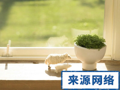 屋内植物应该怎么摆放? 家居保健 室内植物怎么摆放 房间植物摆放