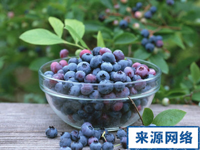 女性应多吃的8种健康食品 女性保健 女性吃什么健康 哪些食物有益女性健康