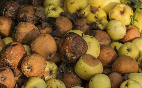 胃癌的原因有哪些 哪些食物会导致胃癌 胃癌吃什么好