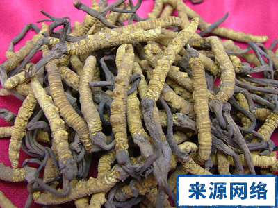 中药材 中药材保存方法 名贵中药材夏季怎么保存