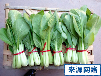夏季儿童保健 夏季儿童如何防上火 儿童多吃蔬菜防上火