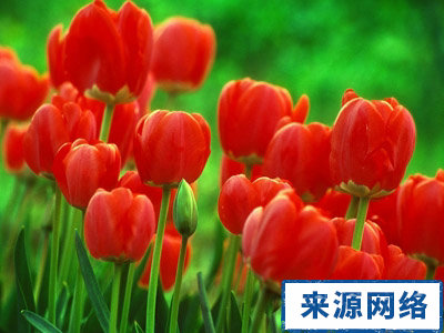 夏季养生 夏季养生不宜吃什么 夏季饮食应注意什么