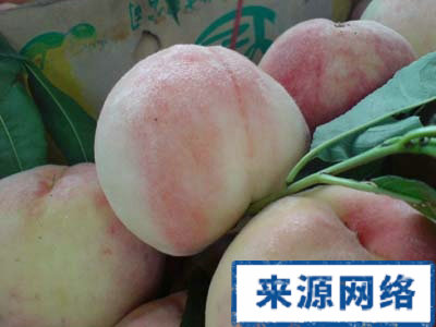 夏季保健 夏季如何消暑 夏季消暑方法有哪些