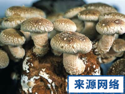 夏季保健 夏季如何预防食物中毒 预防食物中毒应注意什么