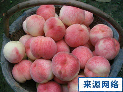 夏季养生 夏季养生不宜吃什么 夏季哪些水果不宜吃