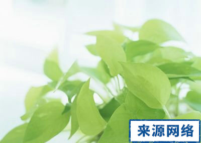 夏季养生 夏季养生应怎么做 夏季应如何养生