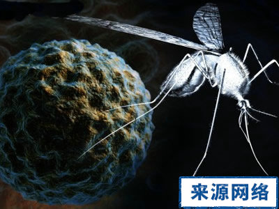 夏季保健 夏季应如何灭蚊 夏季灭蚊应注意什么
