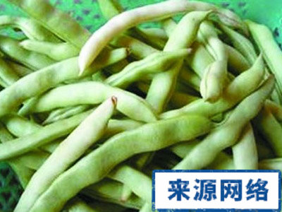 夏季保健 夏季哪些蔬菜有毒 夏季不宜吃什么