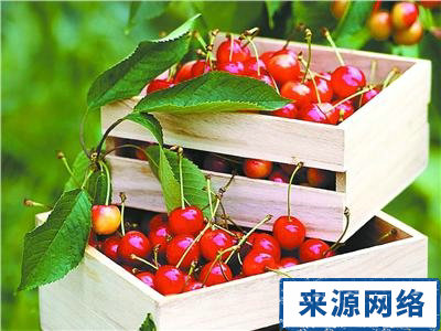 夏季吃什么好 夏季体乏 夏季体乏吃什么好 饮食之道 苦叶食物