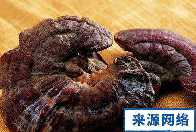 夏季 補品 靈芝 養生 安神 保健