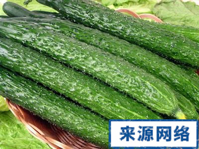 黄瓜 便秘 预防便秘 吃黄瓜预防便秘 解暑 如何预防便秘